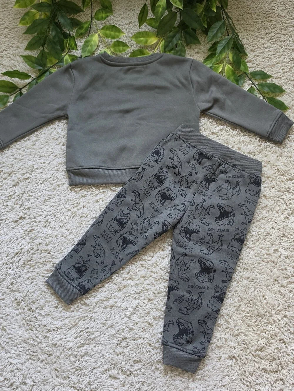 Toddler Boy Dinosaur Outfit (2T)